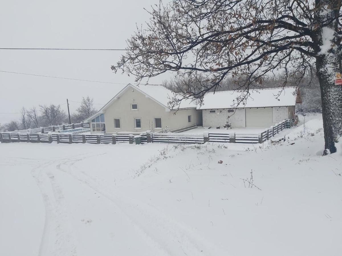 Vila Boba Bor Zlot Zewnętrze zdjęcie