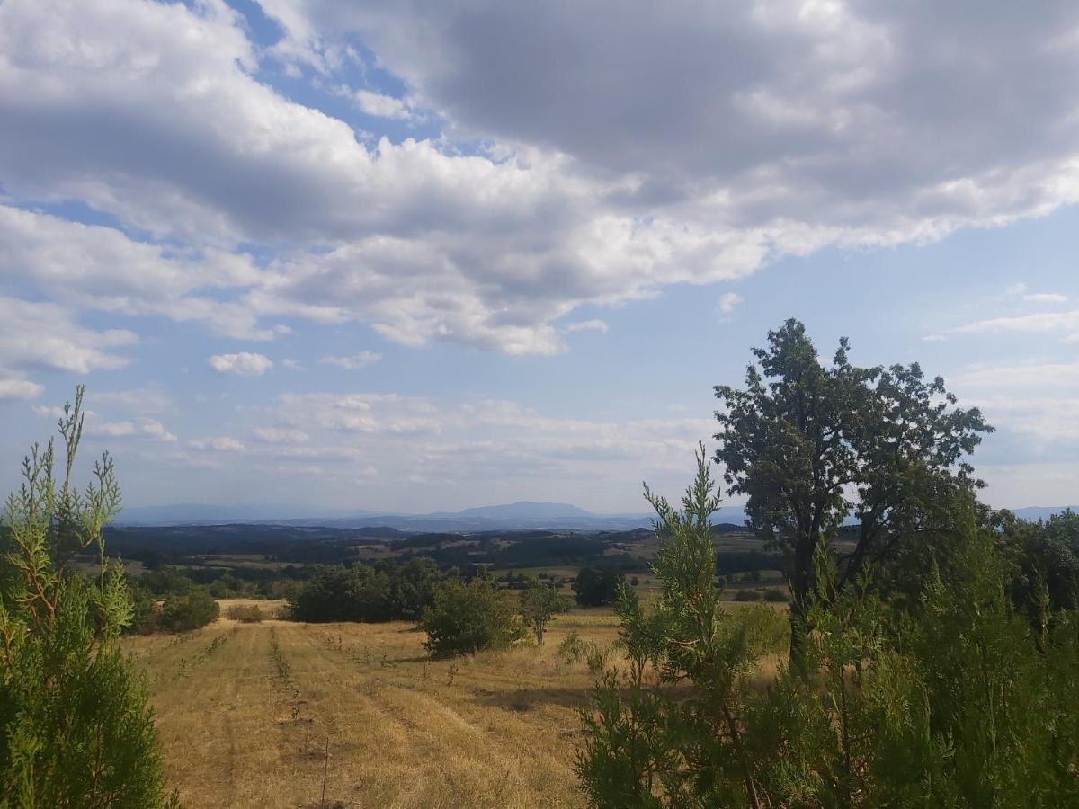 Vila Boba Bor Zlot Zewnętrze zdjęcie